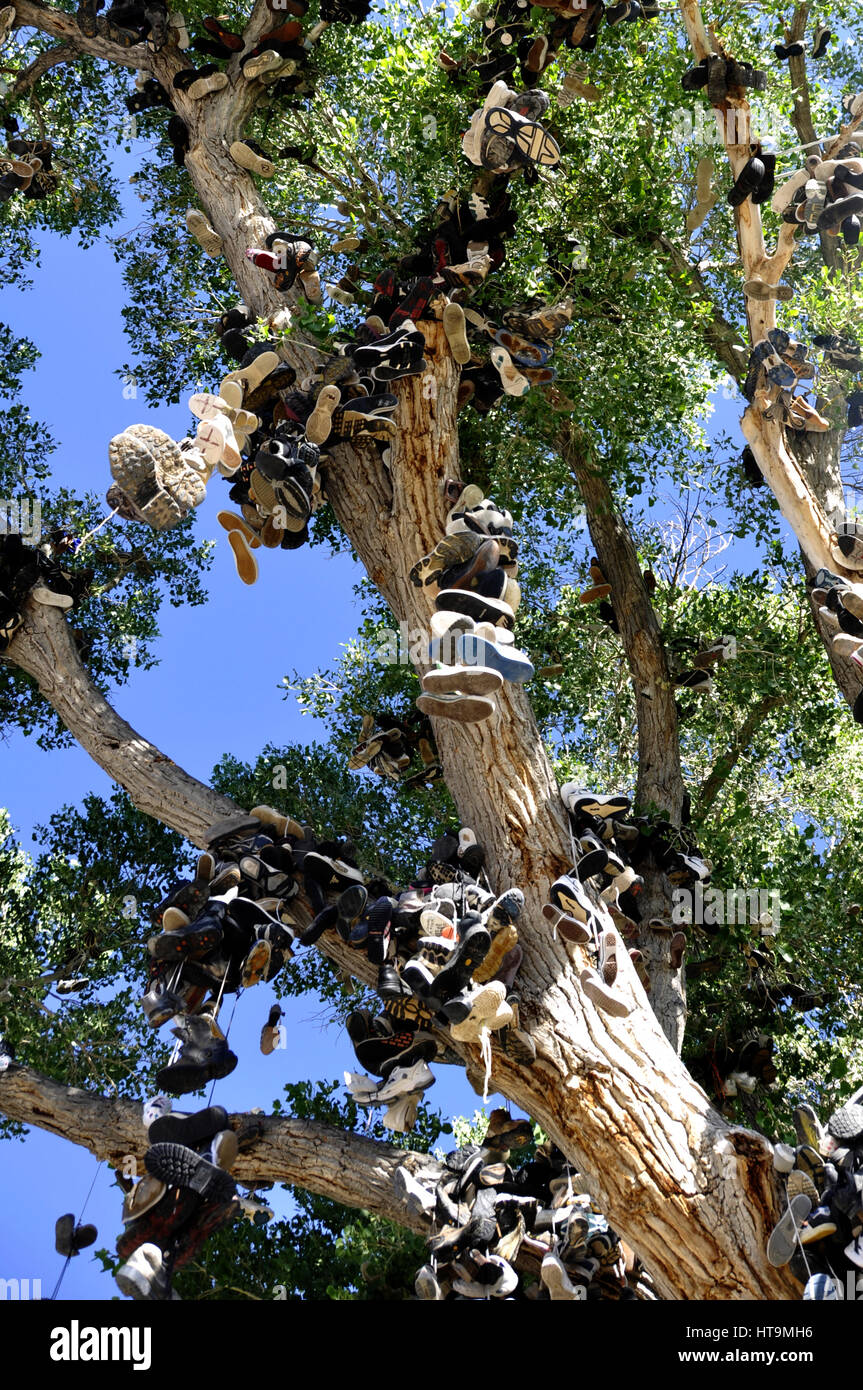 Shoe tree in US 50 Nevada Stock Photo Alamy