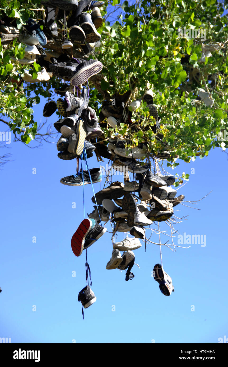 Shoe tree in US 50 Nevada Stock Photo Alamy