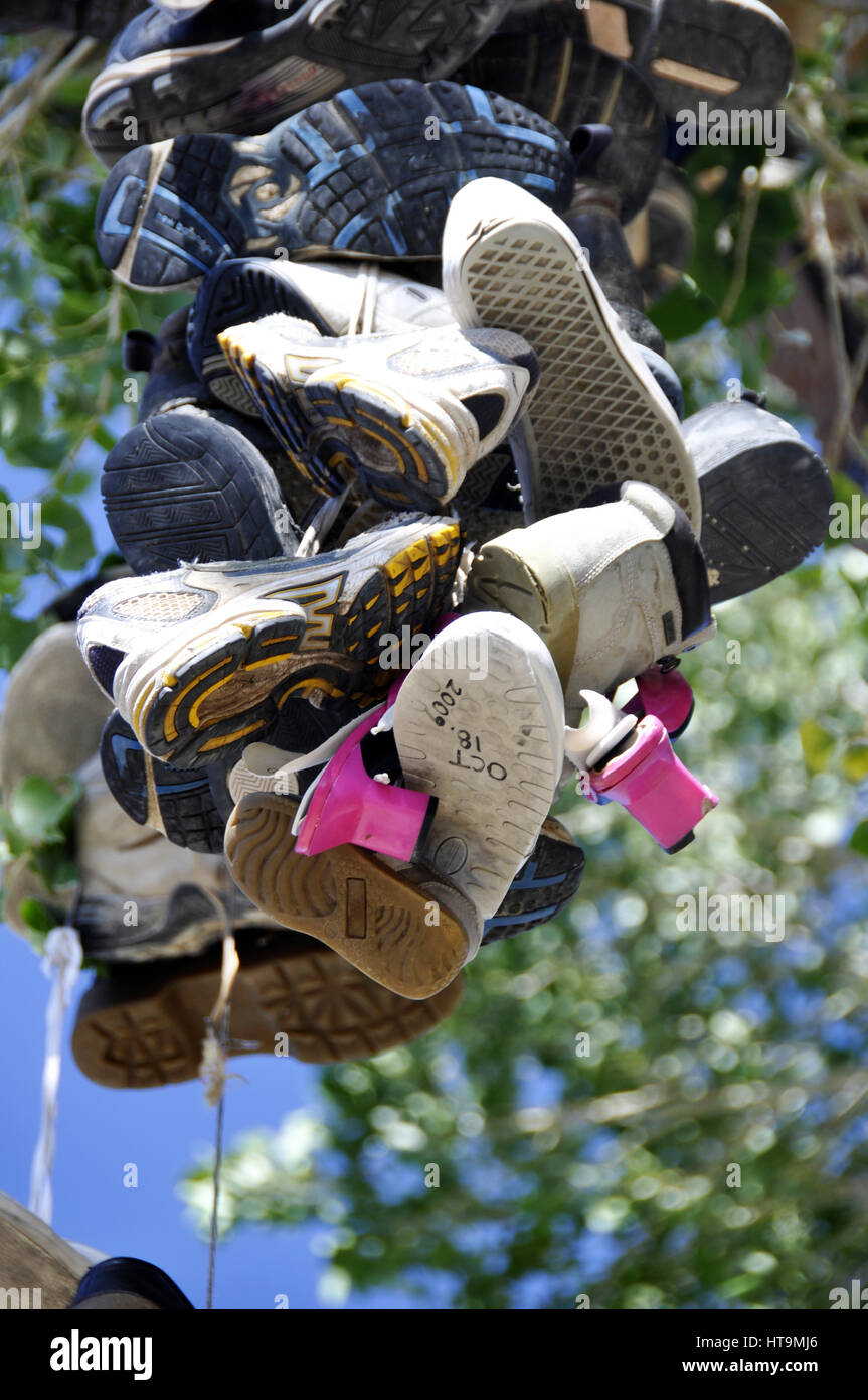 Shoe tree in US 50 Nevada Stock Photo Alamy