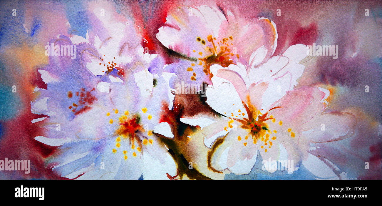 Watercolor painting of the beautiful flowers Stock Photo