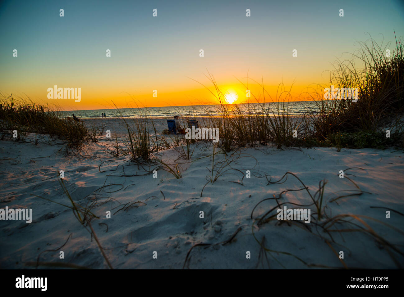 white sands with beach grass ocean and sunset Stock Photo