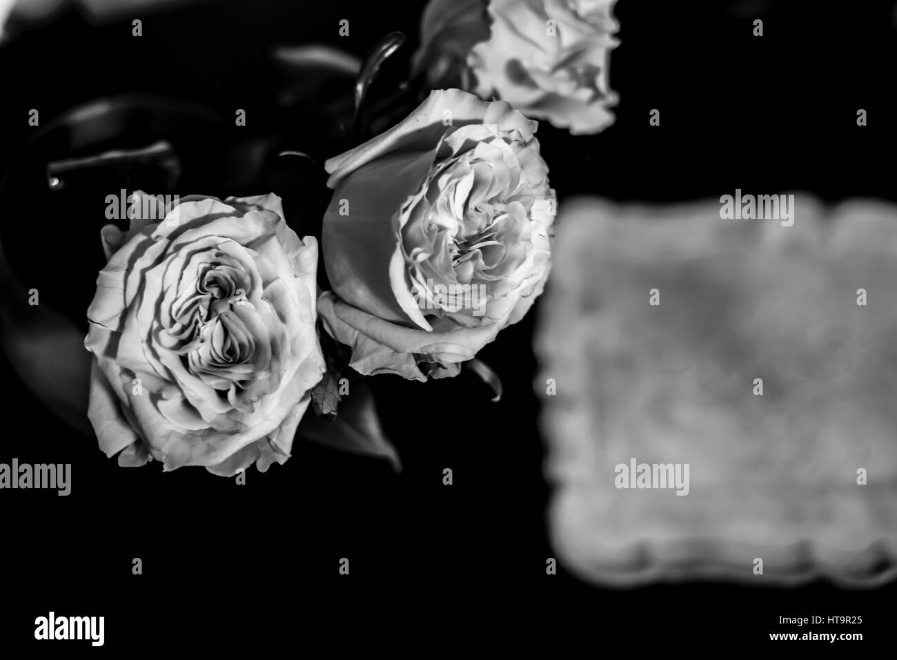 Roses on the floor Stock Photo Alamy