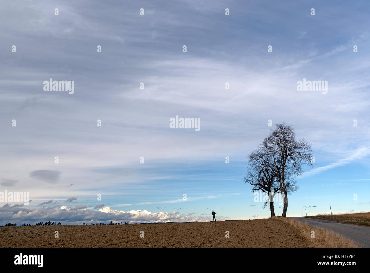 Trees with person on fiel with blue, clouded sky Stock Photo