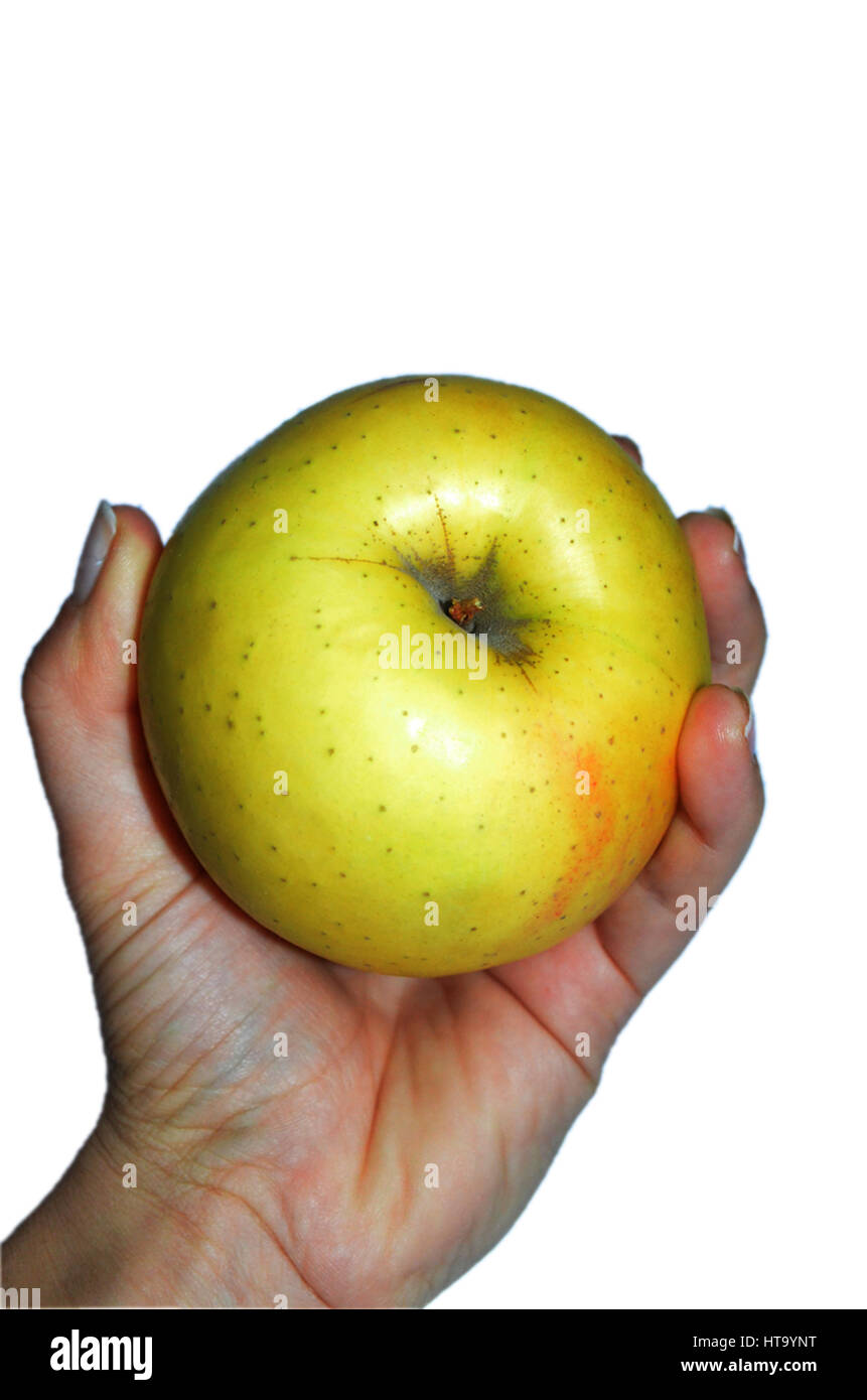 Close up of holding somebody an apple Stock Photo