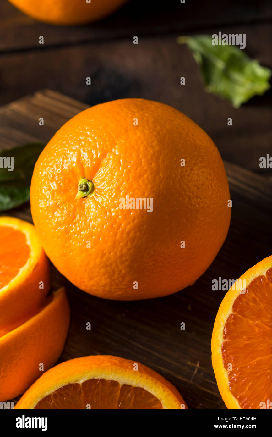 Are Oranges Cara Cara Oranges Safe For Dogs