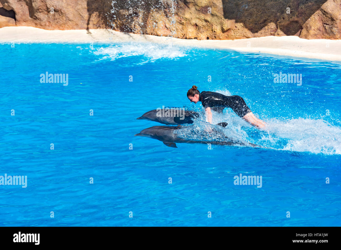 Dolphin show in the Loro Parque (Loro Parque), Tamer floats holding the fins of two dolphins, 13.09.2016, (Tenerife, Spain). Stock Photo