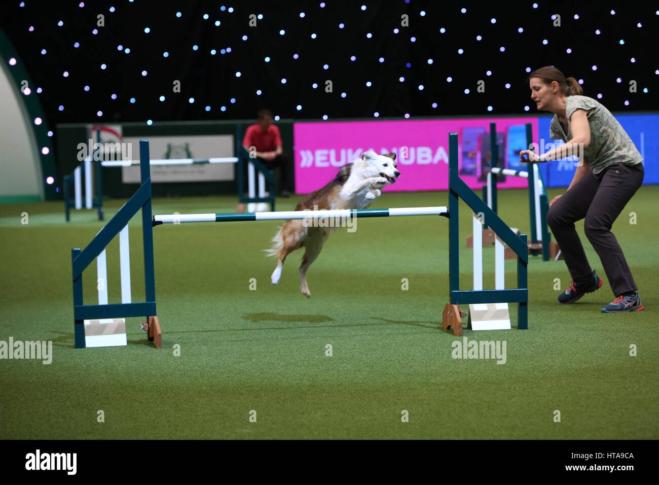 Crufts, Birmingham, UK. 9th Mar, 2017. The world's largest dog show, Crufts, takes place in Birmingham with dogs of all shapes & sizes. Credit: Jon Freeman/Alamy Live News Stock Photo