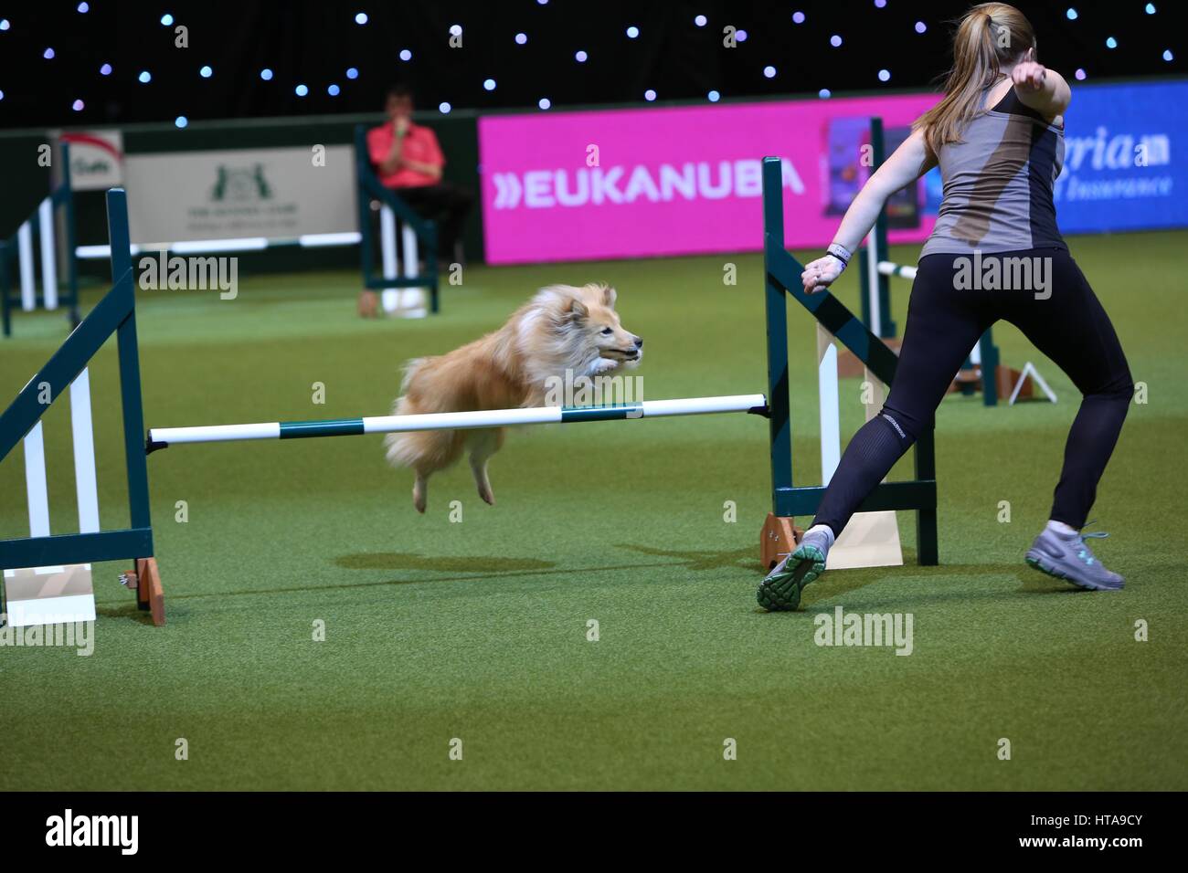 Crufts, Birmingham, UK. 9th Mar, 2017. The world's largest dog show, Crufts, takes place in Birmingham with dogs of all shapes & sizes. Credit: Jon Freeman/Alamy Live News Stock Photo