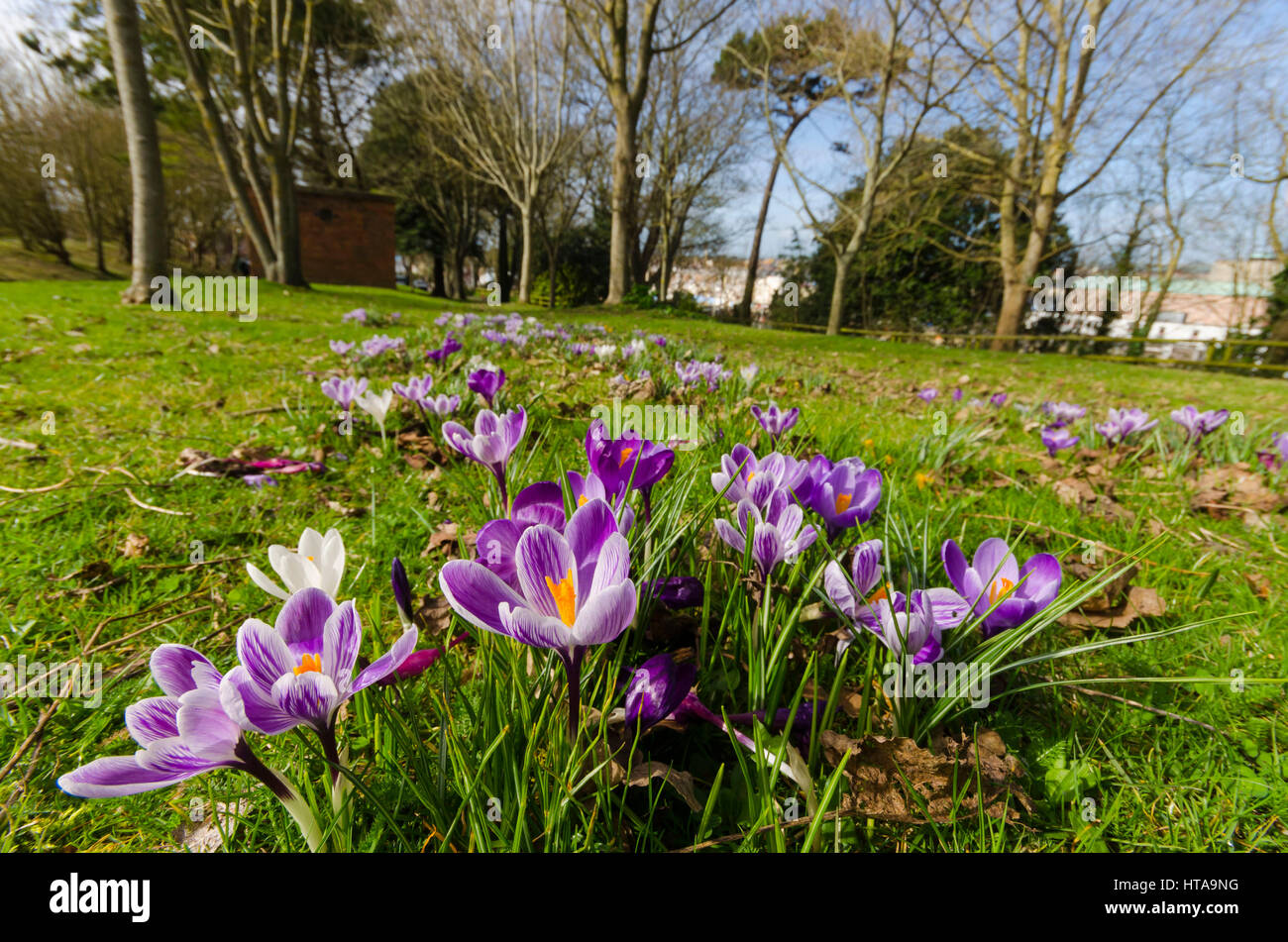 Nothe gardens weymouth hires stock photography and images Alamy