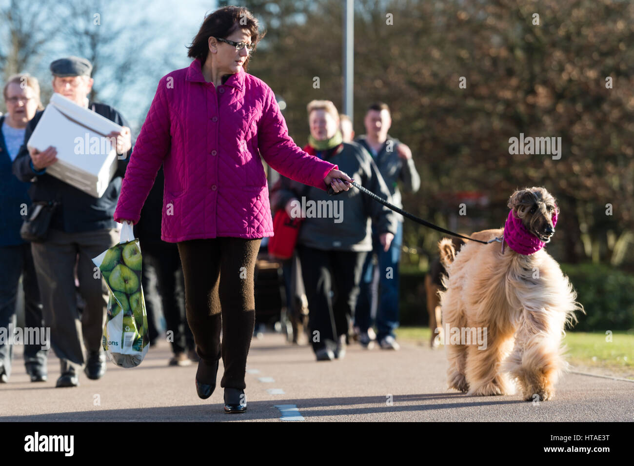 Birmingham, UK. 9th Mar, 2017. A dog and its owner arrive for the annual Crufts dog show in Birmingham, Britain, on March 9, 2017. Credit: Xinhua/Alamy Live News Stock Photo