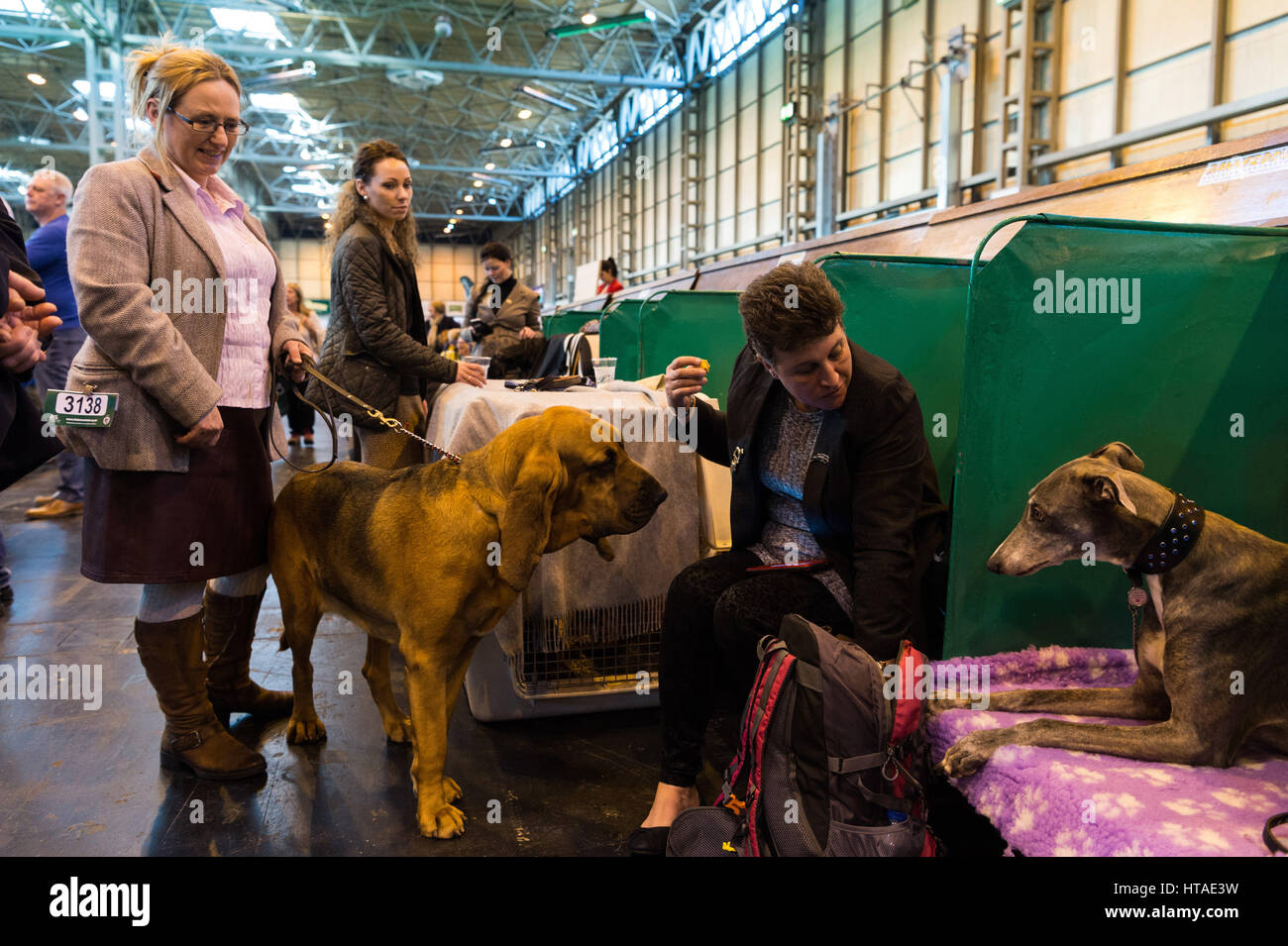 Birmingham, UK. 9th Mar, 2017. Dogs and their owners relax in the interval of a competition during the annual Crufts dog show in Birmingham, Britain, on March 9, 2017. Credit: Xinhua/Alamy Live News Stock Photo