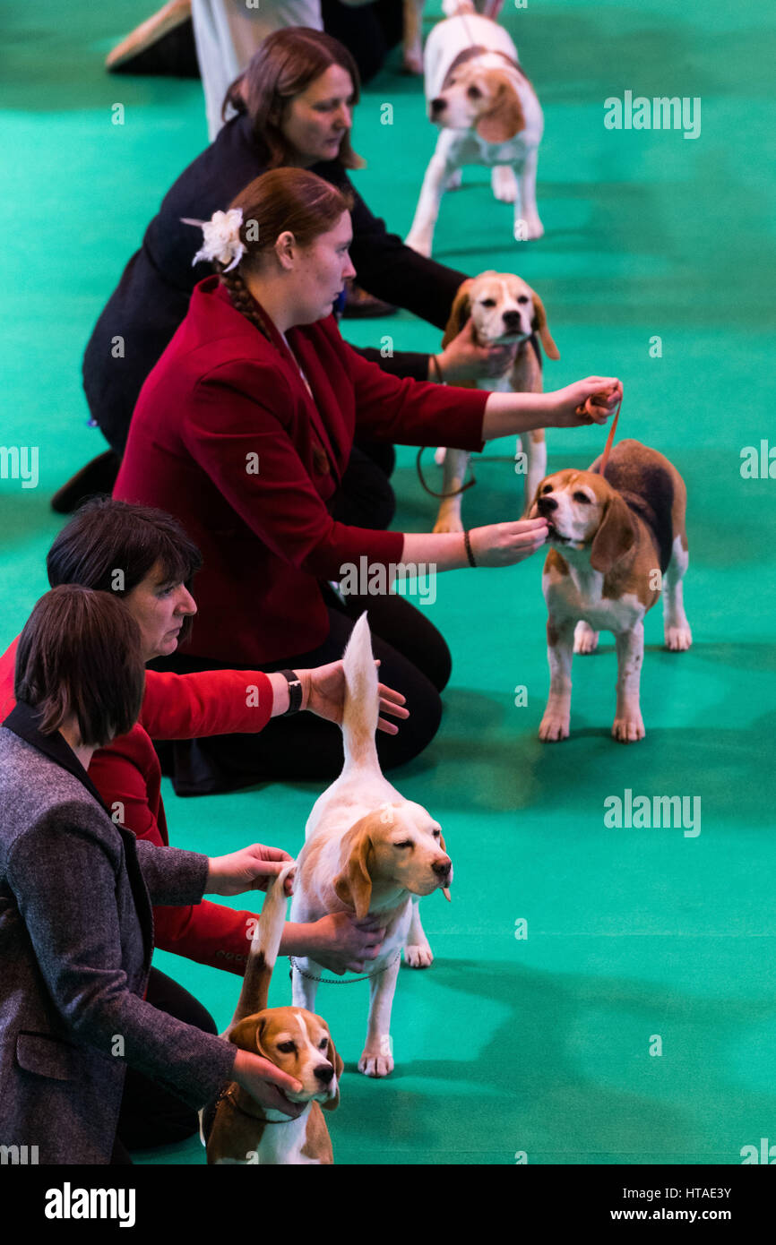 Birmingham, UK. 9th Mar, 2017. Dogs and their owners compete in a competition during the annual Crufts dog show in Birmingham, Britain, on March 9, 2017. Credit: Xinhua/Alamy Live News Stock Photo