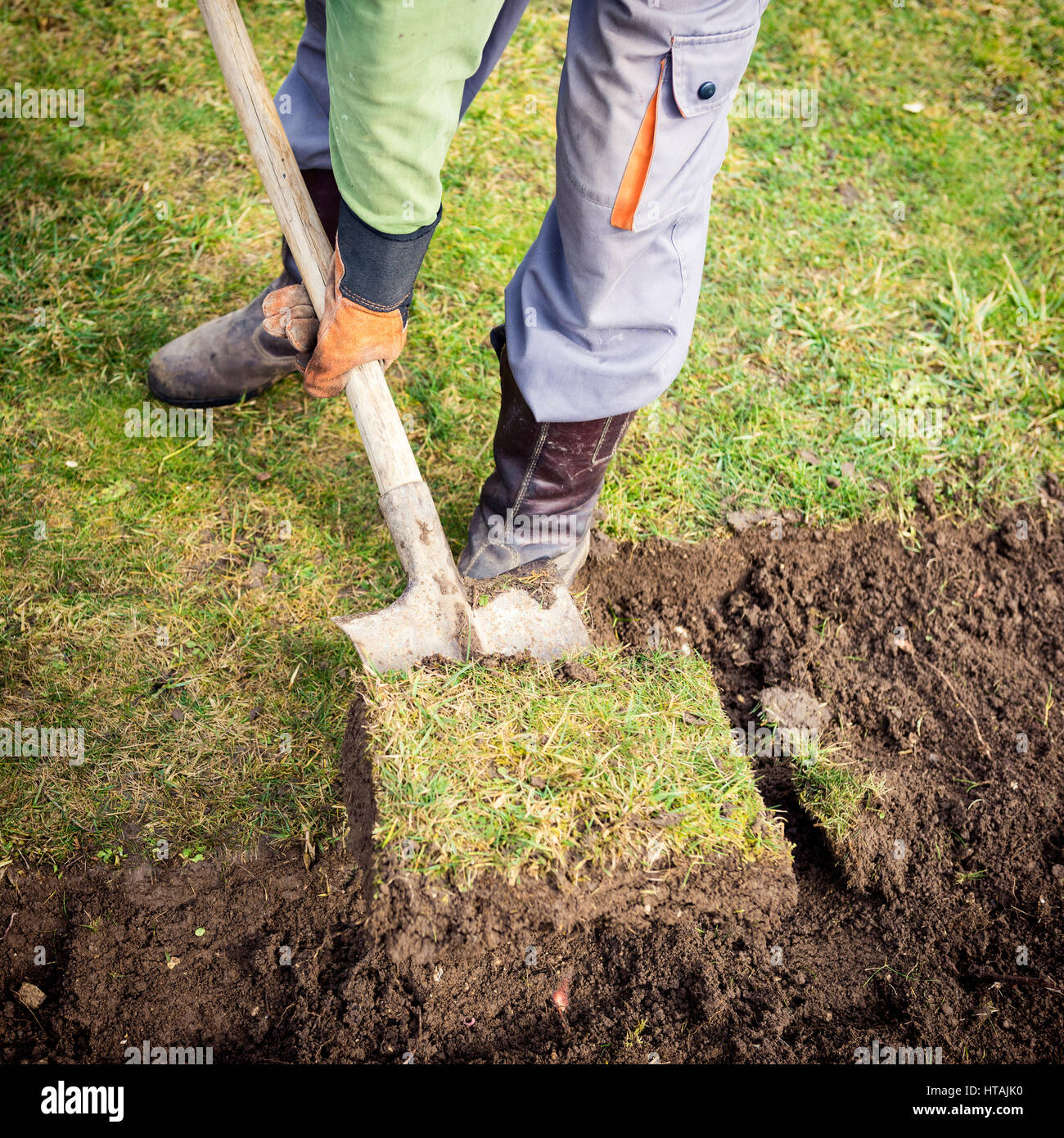 Man using spade for old lawn digging Stock Photo Alamy