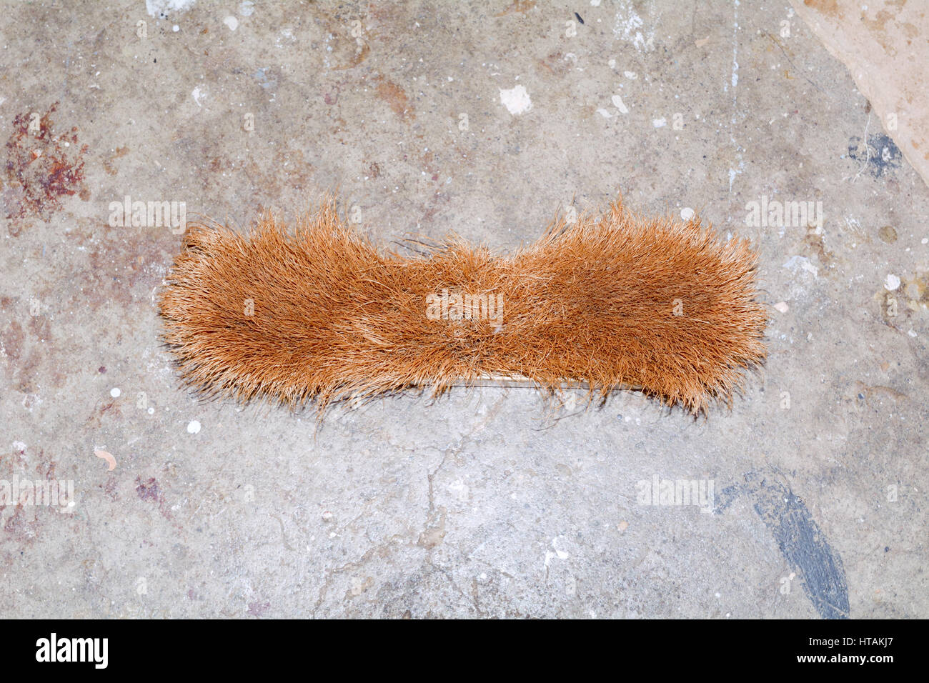 Hand Brush with bristles on floor in carpenters Stock Photo