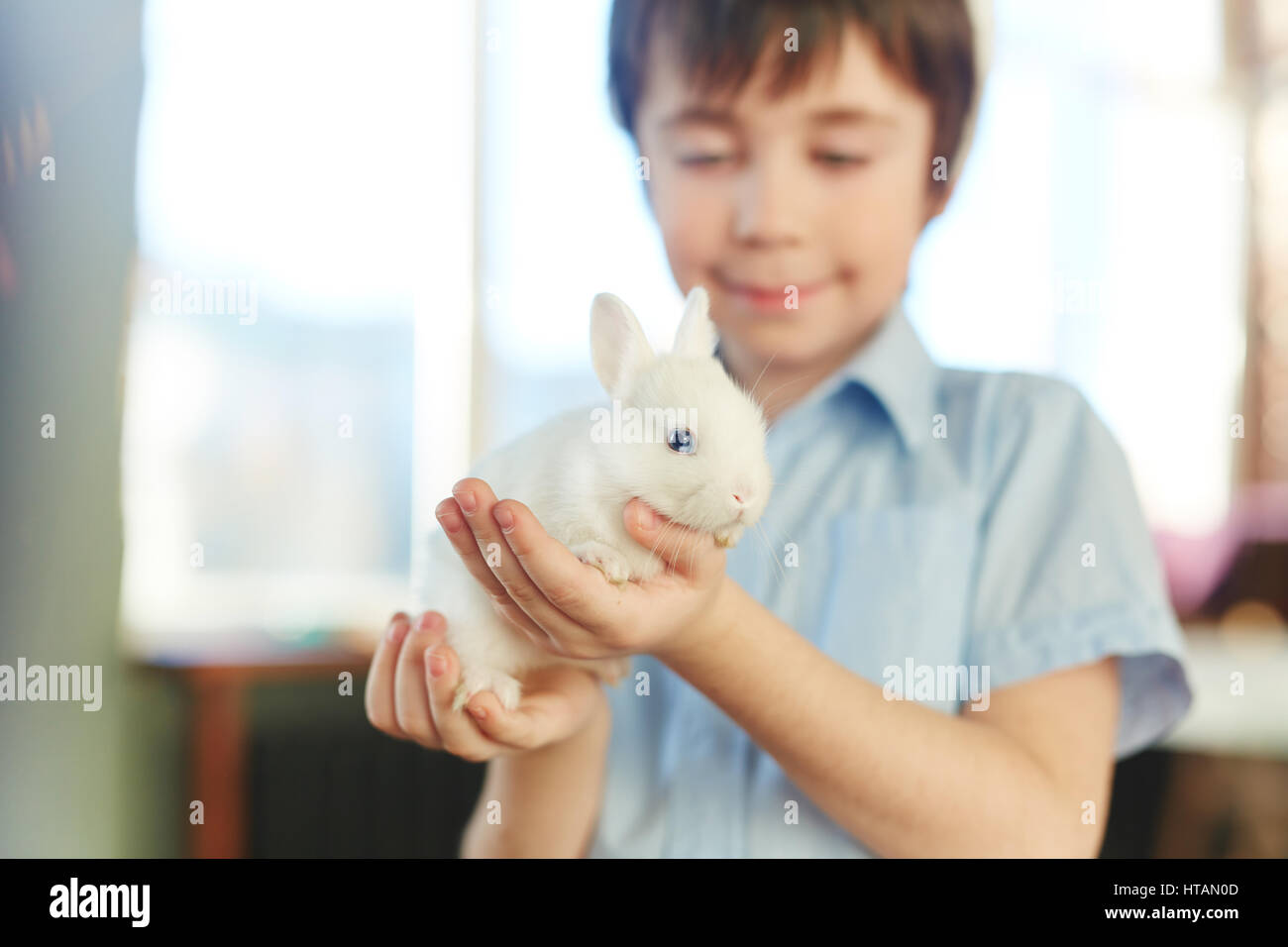 White fluffy rabbit held by happy kid Stock Photo - Alamy