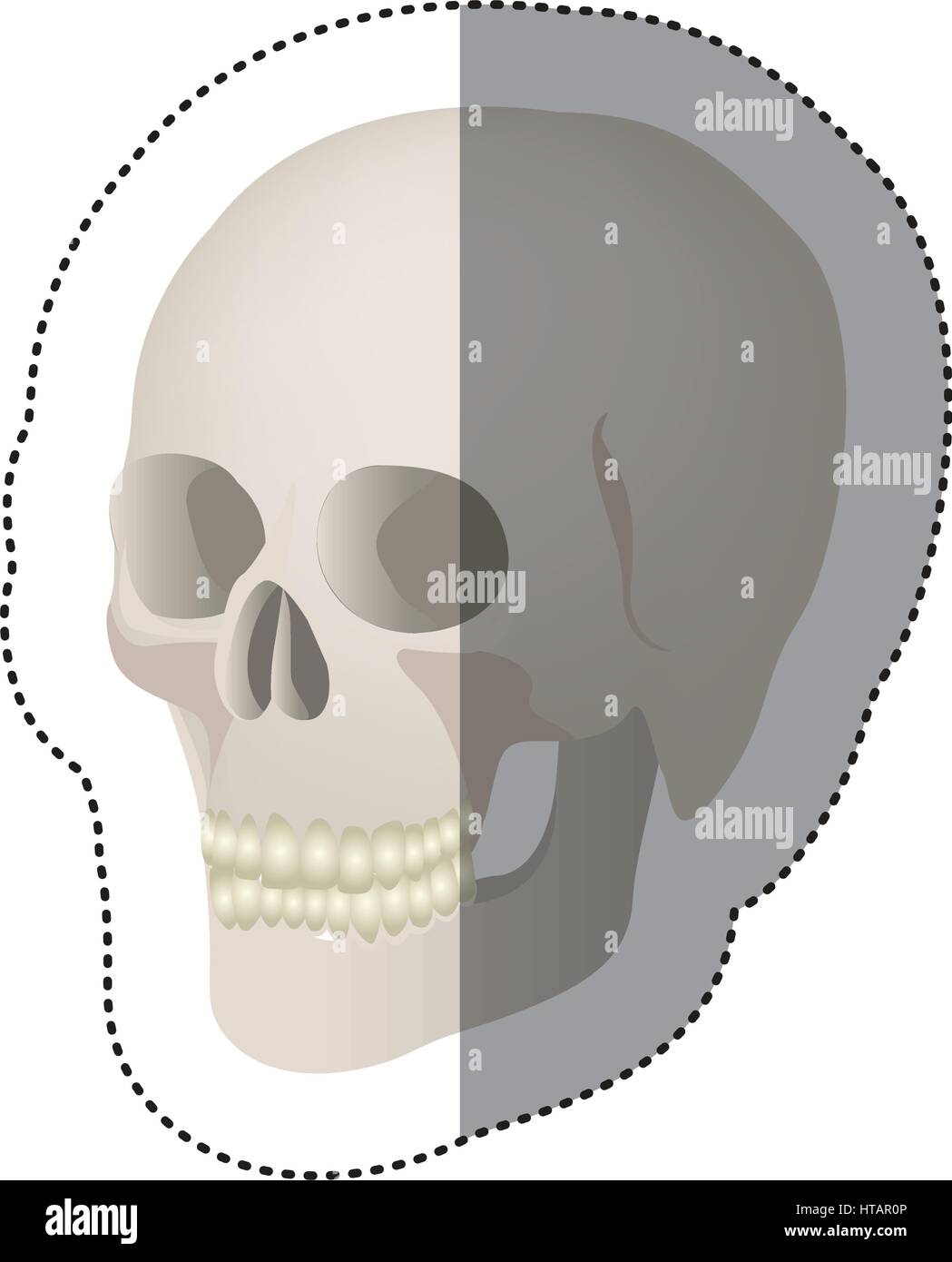 white skeleton of the human skull icon, vector ilustraction design Stock Vector