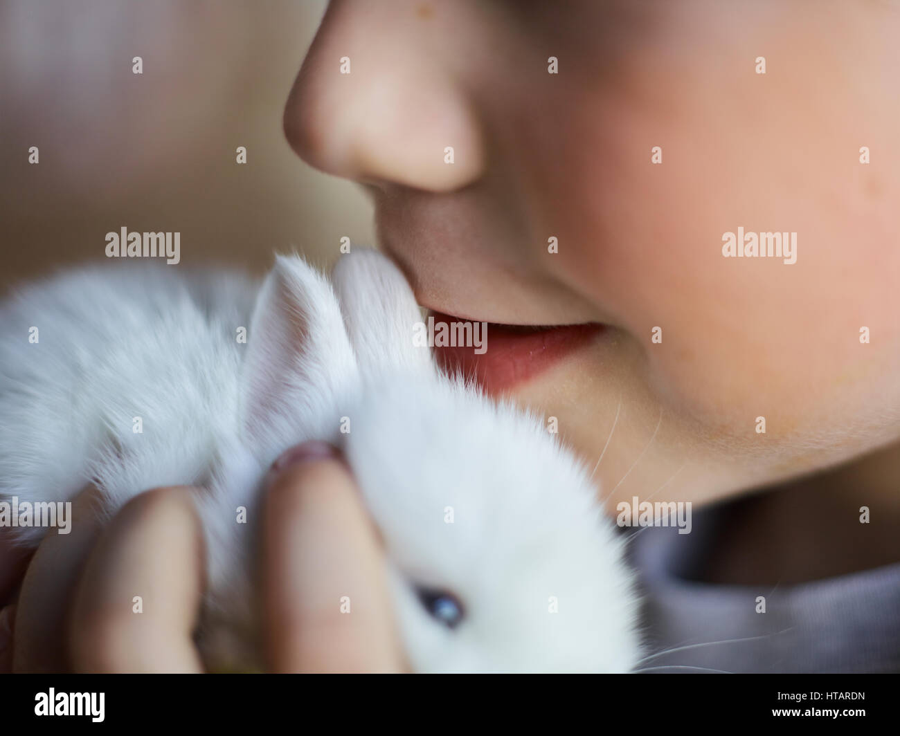 Baby-bunny close to child face Stock Photo - Alamy