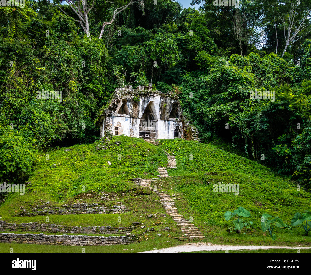 Temple of the Foliated Cross at mayan ruins of Palenque - Chiapas, Mexico Stock Photo