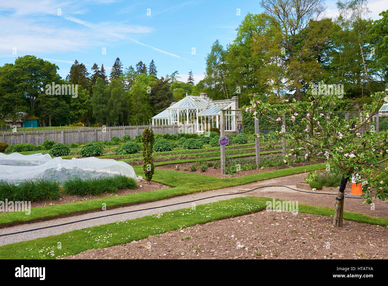 Vegetable garden and glass house in the Balmoral Castle Estate, Aberdeenshire, North East Scottish Highlands. Stock Photo