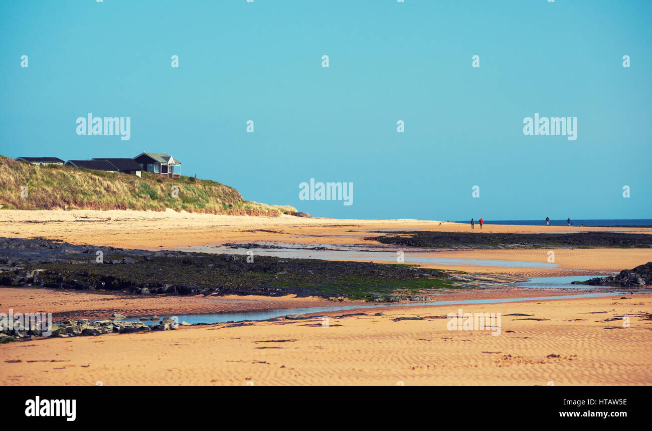 Families walking along a beach. Embleton Bay, North East of England.UK. Colour styling and grain applied. Stock Photo