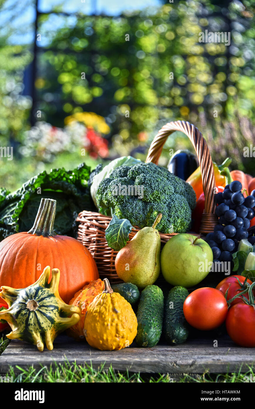 Variety of fresh organic vegetables and fruits in the garden. Balanced ...