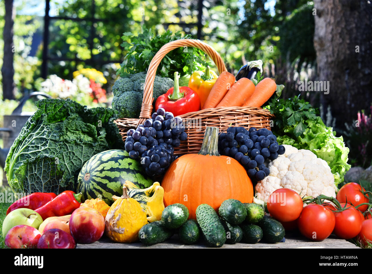 Variety of fresh organic vegetables and fruits in the garden. Balanced ...