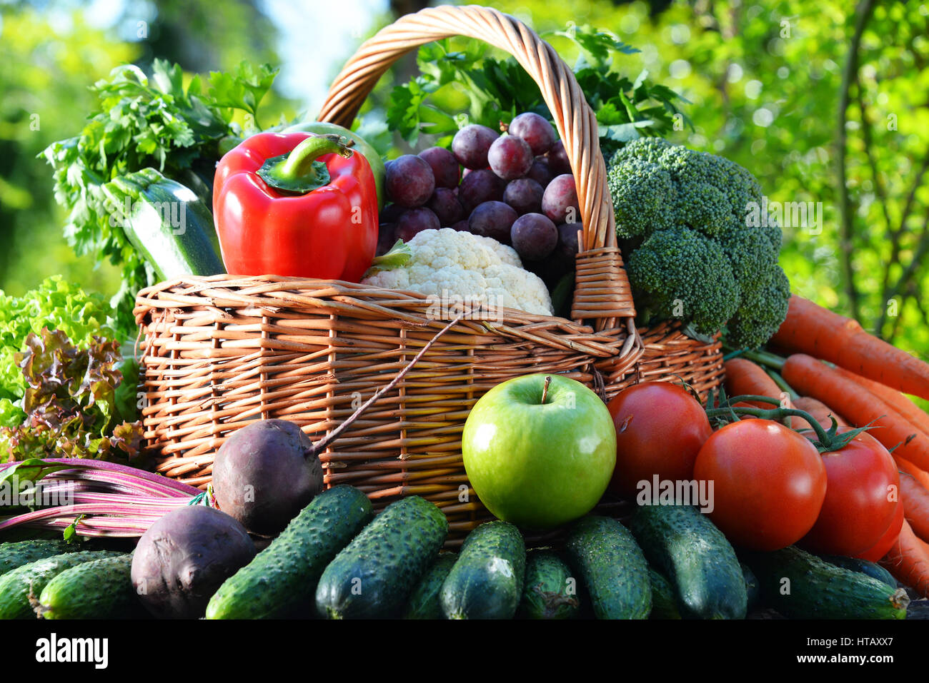 Variety of fresh organic vegetables and fruits in the garden. Balanced ...