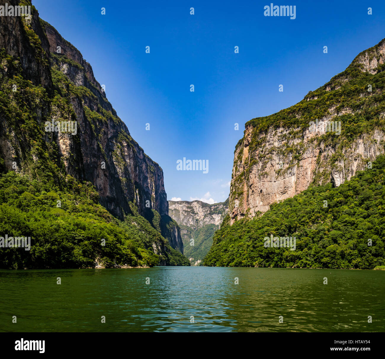My Image 16