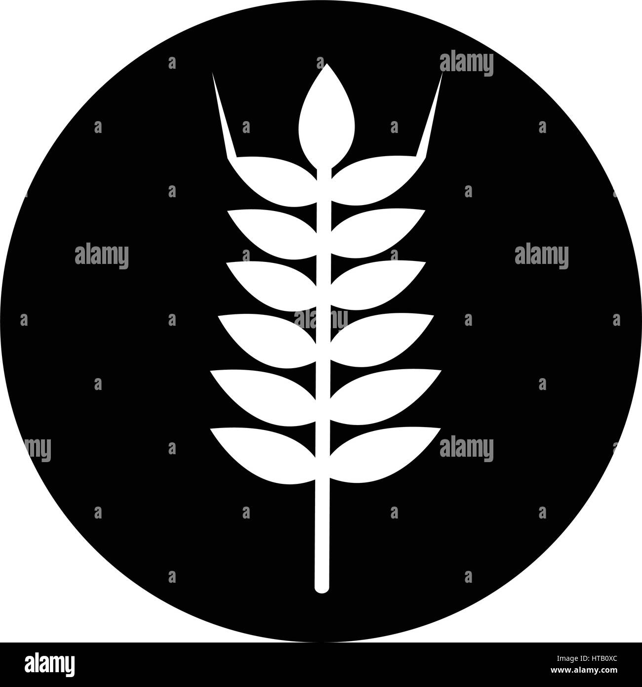 wheat ear icon illustration design Stock Vector Image & Art - Alamy