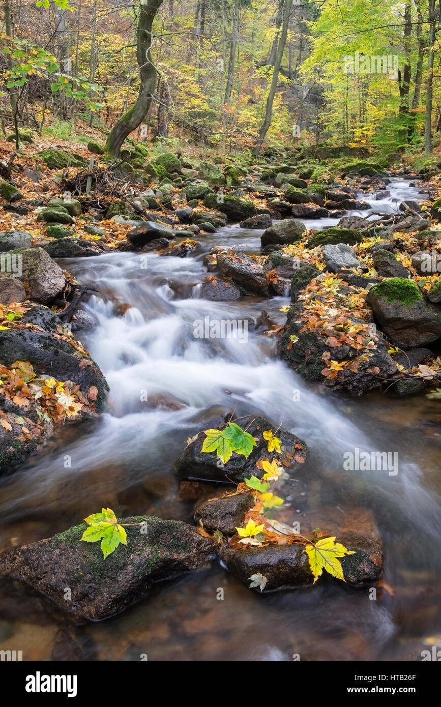 River Bode, autumn foliage, autumnal Ilse's valley in the resin, Fluss Bode, Herbstlaub, , Herbstliches Ilsetal im Harz Stock Photo