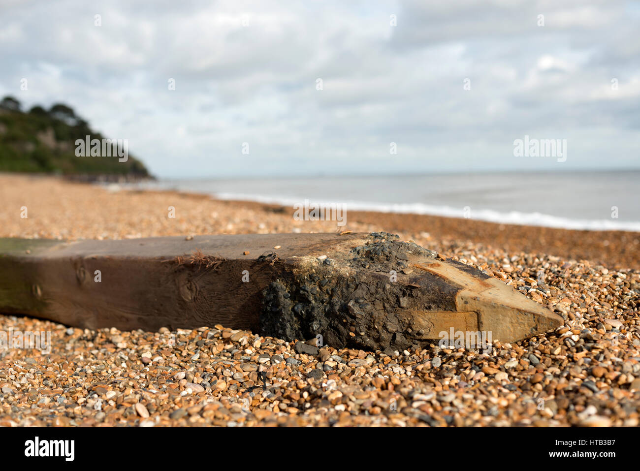 Historic (100-years old) wooden groyne, washed up on the beach due to coastal erosion, Bawdsey Ferry, Suffolk, UK. Stock Photo