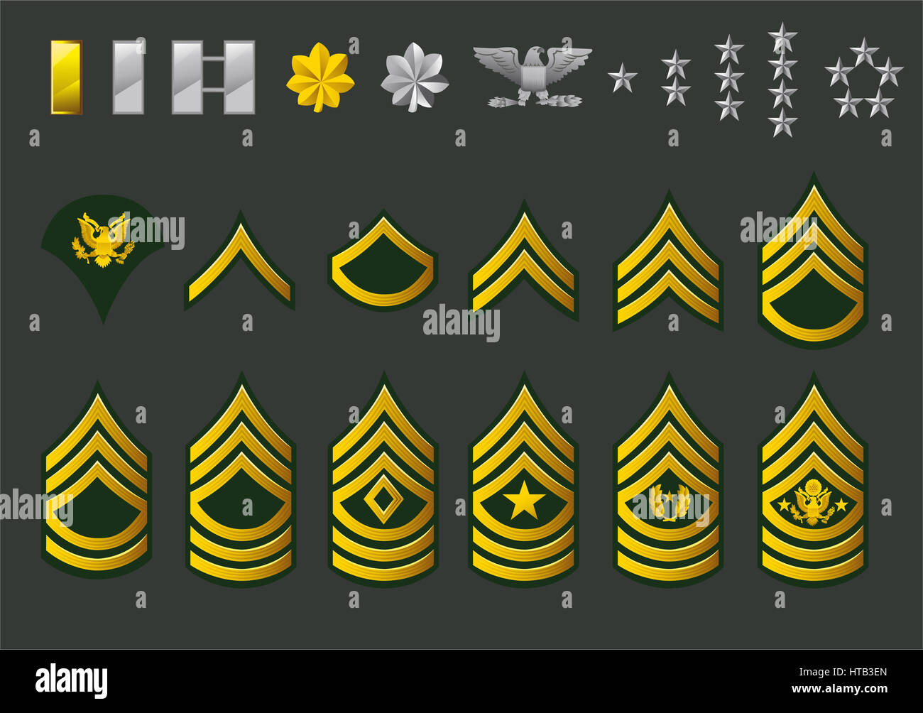 Army Enlisted Rank Structure