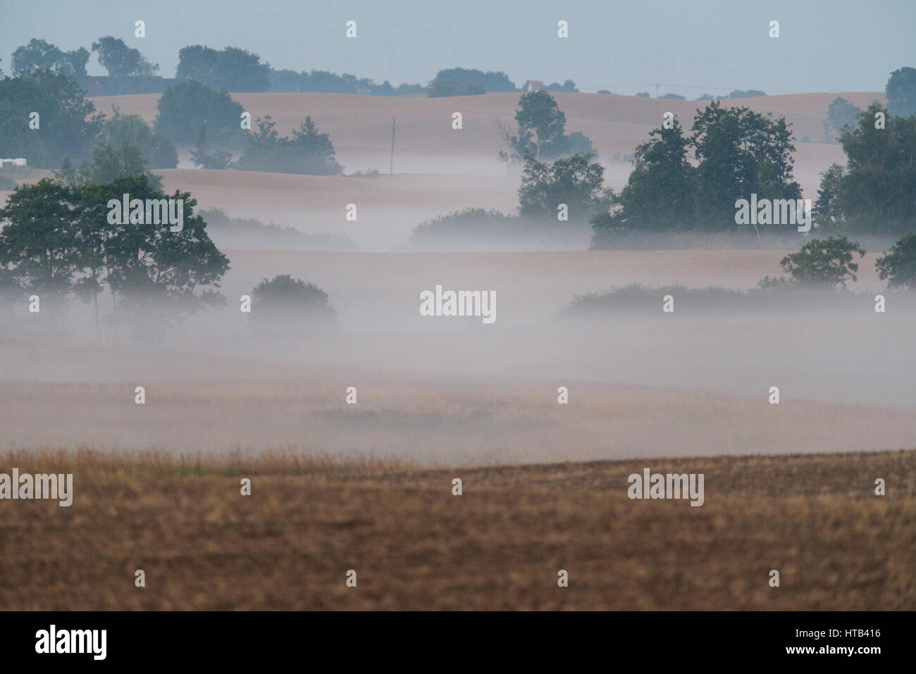 Early morning mist over an open landscape in Scania, Sweden Stock Photo