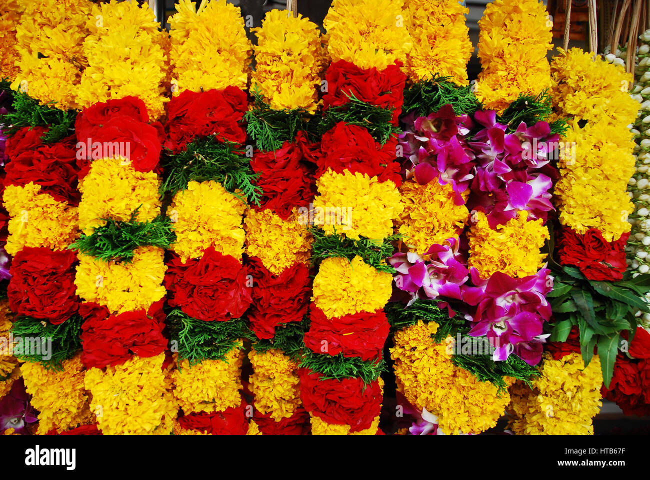 Indian Flower Garland - Stock image African Marigold, Marigold, Orchid, Single Flower, Close-up Stock Photo