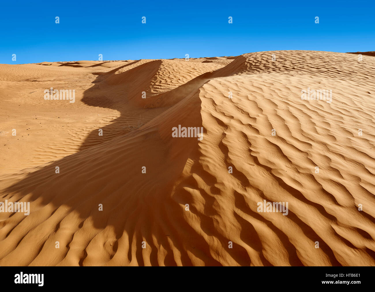 The Sahara desert sand dunes of Erg Oriental near the oasis of Ksar Ghilane, Tunisia, Africa Stock Photo