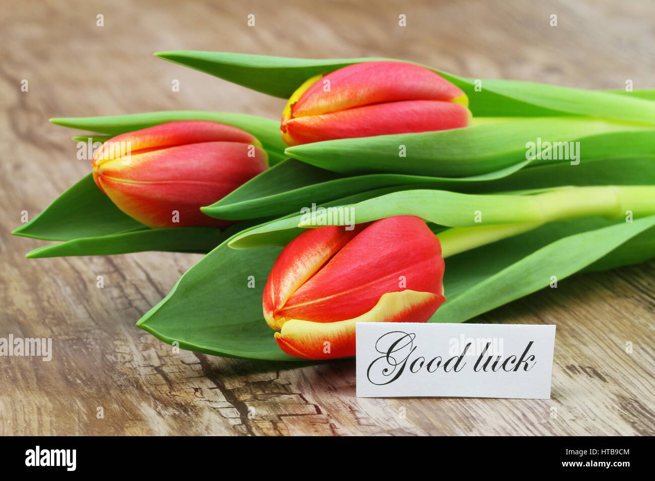 Good luck card with colorful tulip bouquet Stock Photo Alamy