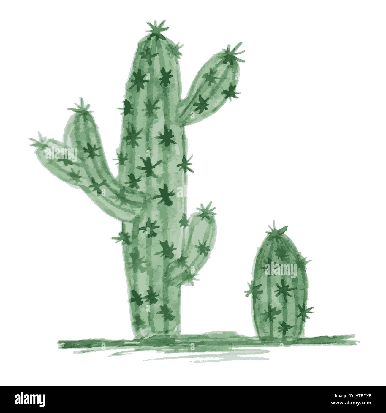 Watercolor Cactus Isolated on White Background. Vector Illustration ...