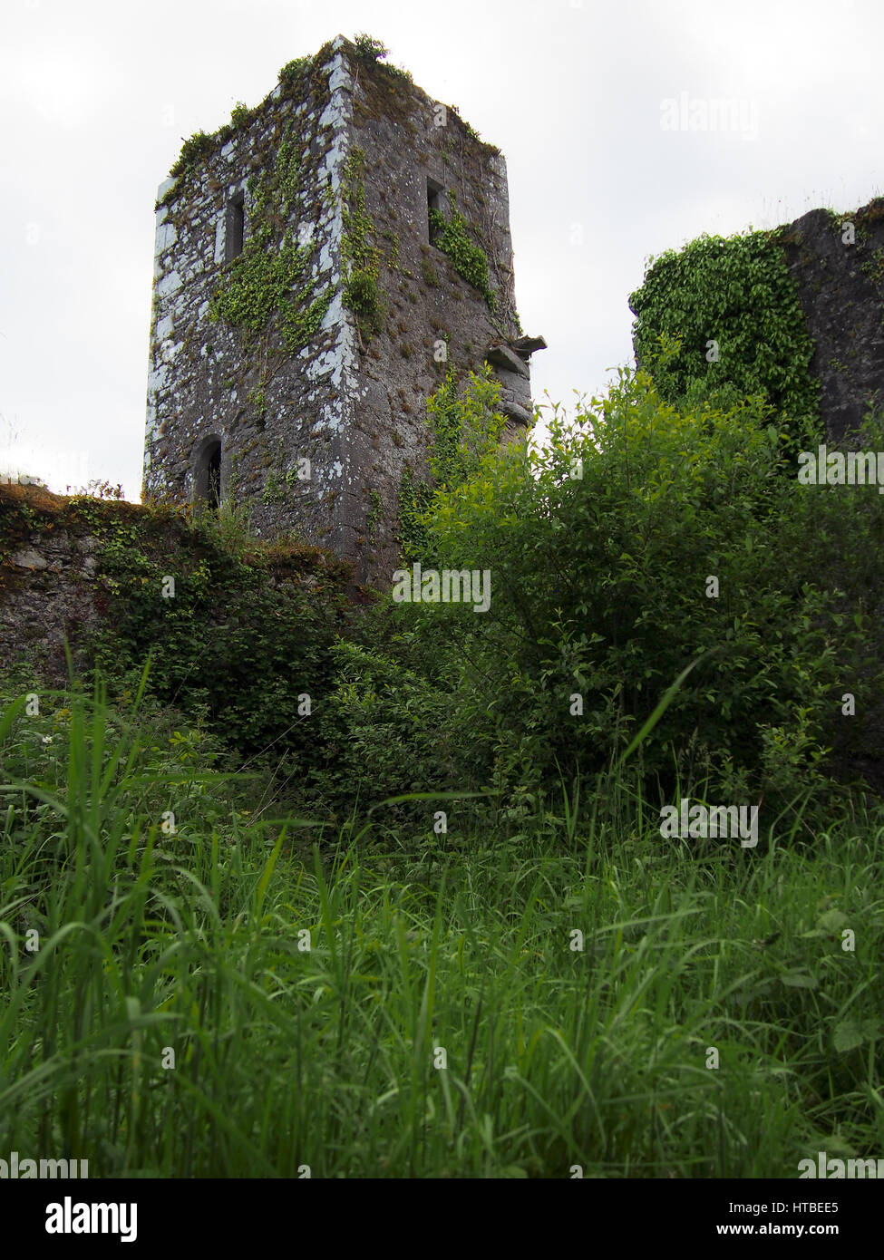 A tower at the remains of Bridgetown Priory in Castletownroche in Cork County Ireland. Stock Photo
