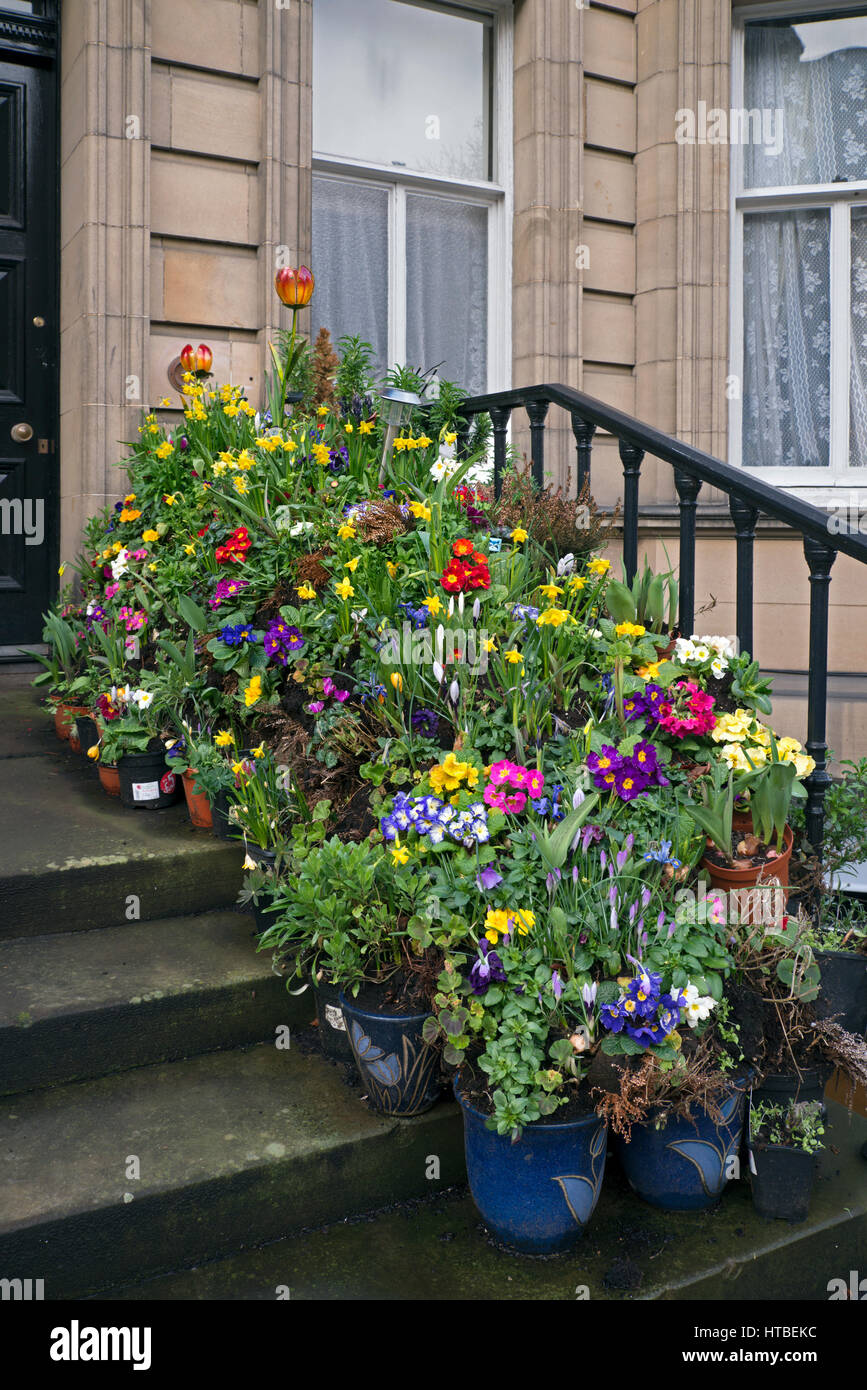 Front door flowers hires stock photography and images Alamy