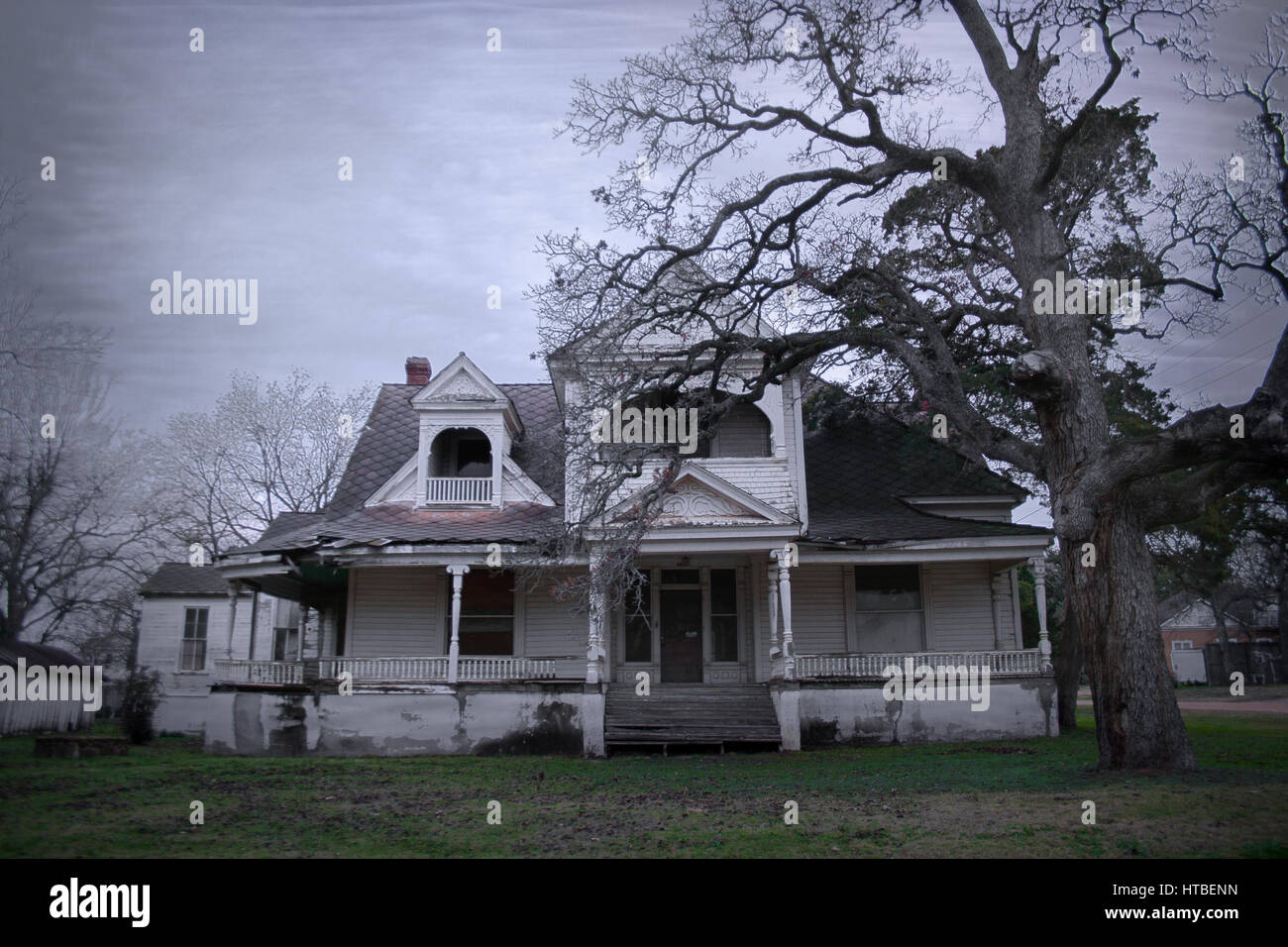 Spooky old haunted house with a dead tree in the yard in rural Texas. Stock Photo