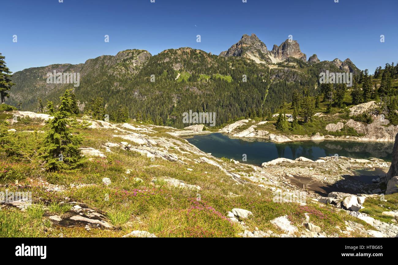 Rugged Mountain Peak Green Alpine Meadow Lake Scenic Landscape Howe