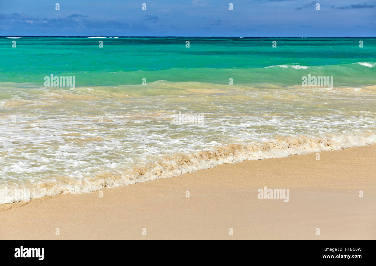 Ocean surf on a sandy beach in Hawaii closeup Stock Photo - Alamy