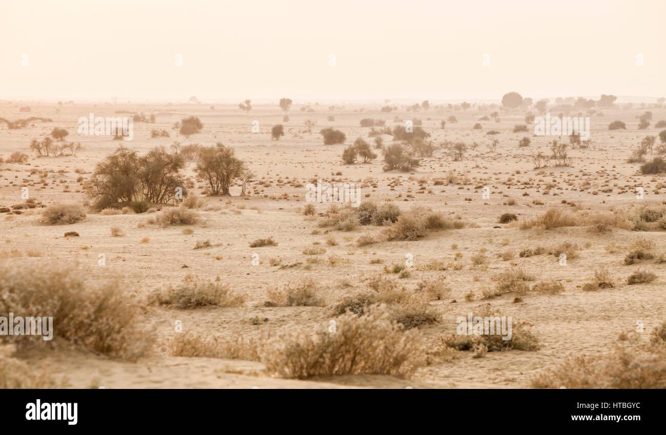 A view looking out at the Thar Desert in Western Rajasthan, India. Stock Photo