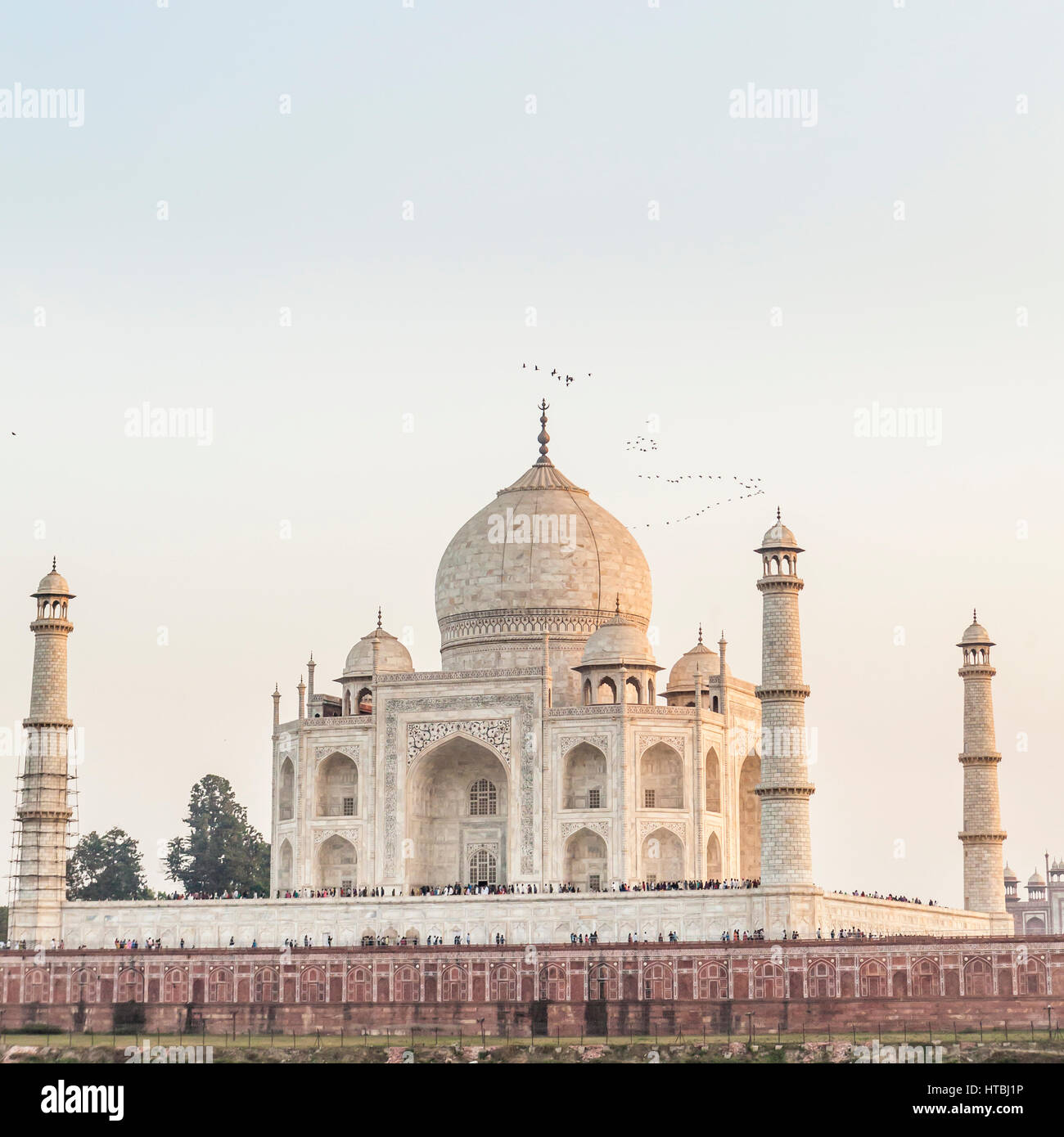 The Taj Mahal on a Friday afternoon when the site is closed to the public but open for worshipers, Agra, India. Stock Photo
