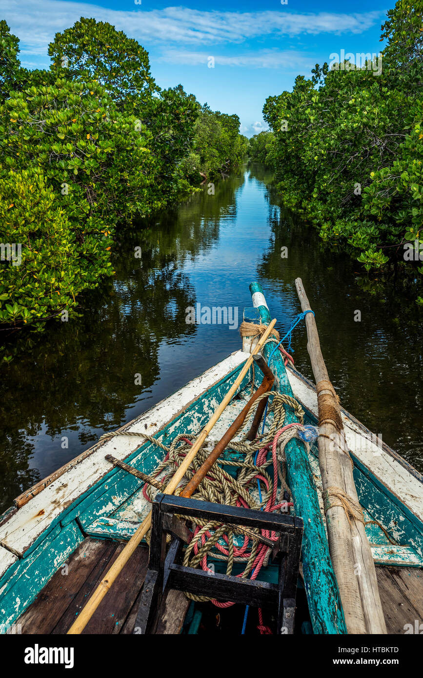 Sailing through mangroves, Quirimbas National Park; Cabo Delgado, Mozambique Stock Photo