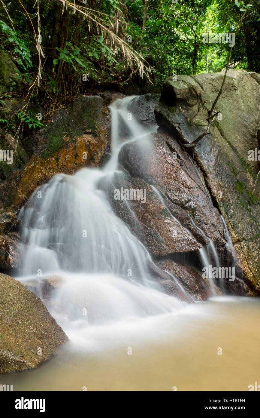 Waterfall in a lush rainforest Stock Photo - Alamy