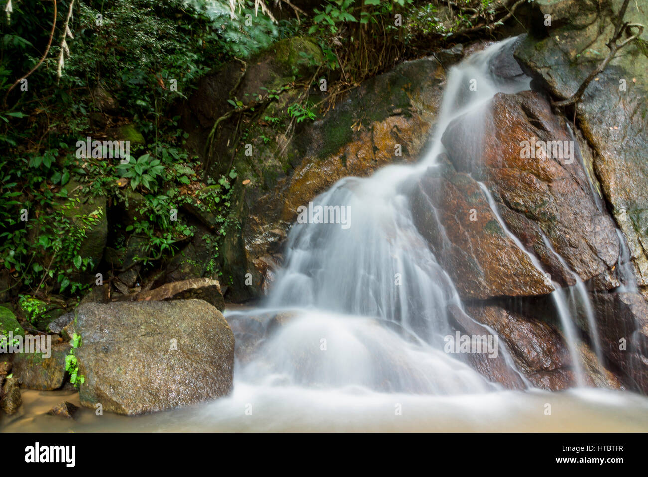 Waterfall in a lush rainforest Stock Photo - Alamy