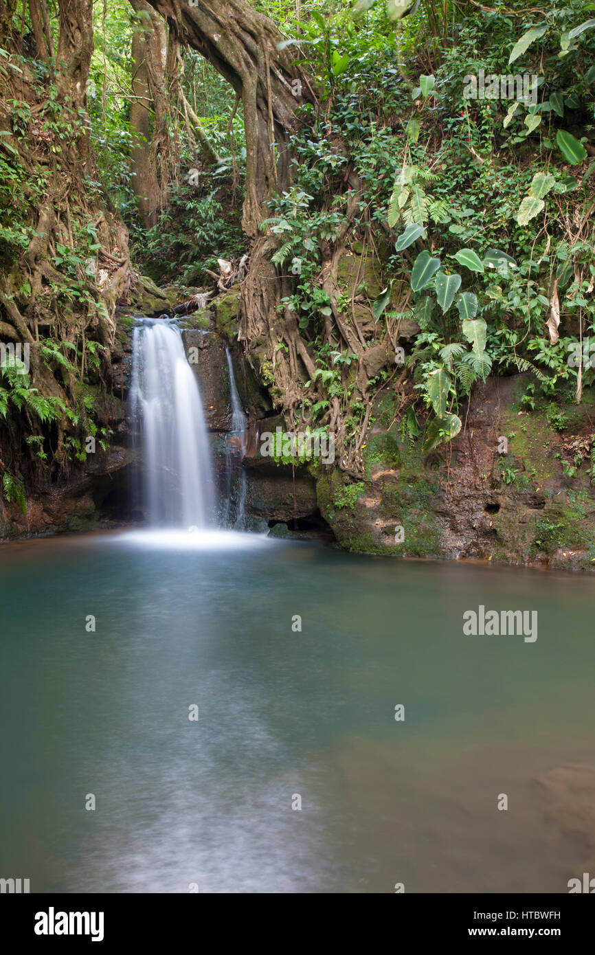 Waterfall in tropical forest at Xandari resort, Costa Rica Stock Photo