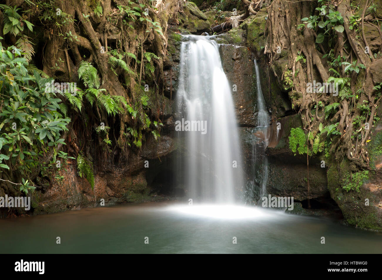 Waterfall in tropical forest, Costa Rica Stock Photo