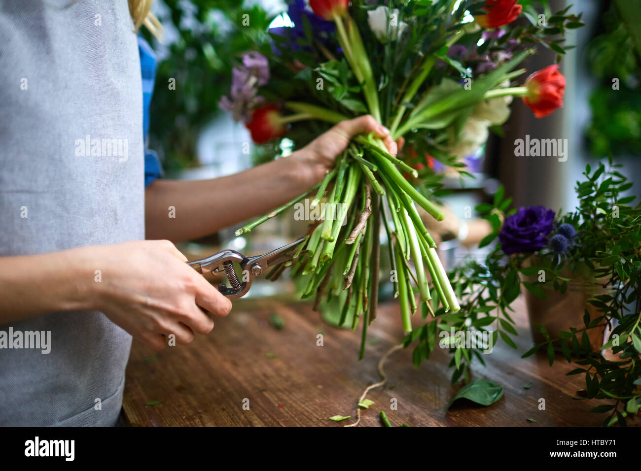Shortening hires stock photography and images Alamy